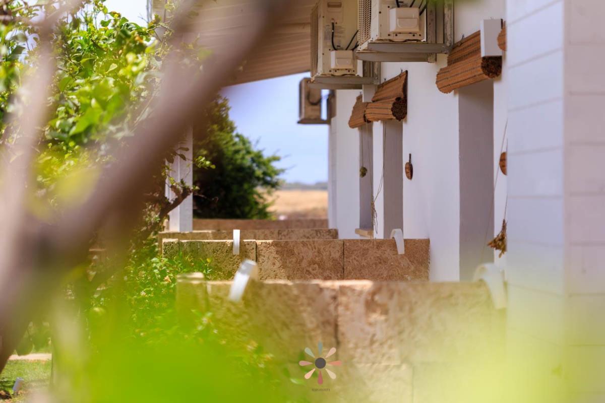 Agriturismo Tenuta Margherita Торре-Лапилло Экстерьер фото